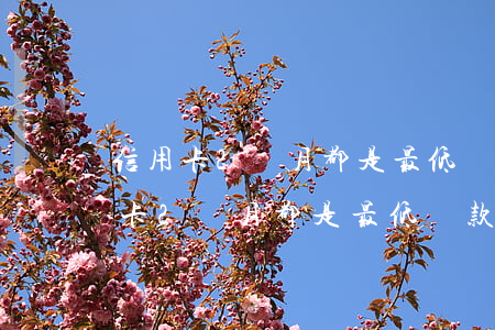 信用卡2個月都是最低還款逾期5次-信用卡2個月都是最低還款逾期5次怎么辦