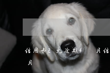 信用卡2元逾期4個月(信用卡2元逾期4個月)