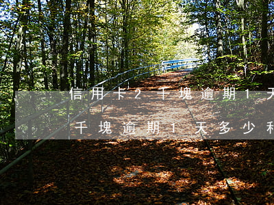 信用卡2千塊逾期1天多少利息-信用卡2千塊逾期1天多少利息啊