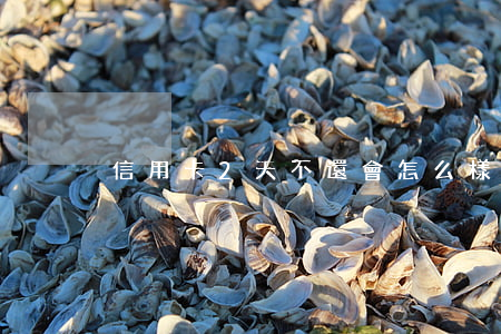 信用卡2天不還會怎么樣(信用卡兩個月沒還)