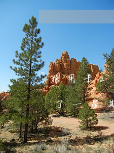 信用卡2天忘还了有逾期影响吗（信用卡忘还了一星期算逾期吗）