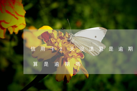 信用卡2天沒還算是逾期嗎(信用卡2天沒還算是逾期嗎)