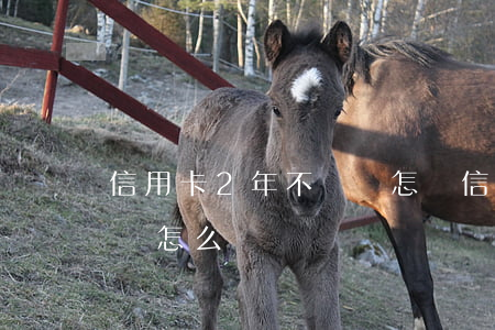 信用卡2年不還會怎樣(信用卡超過三年不還會怎么樣)