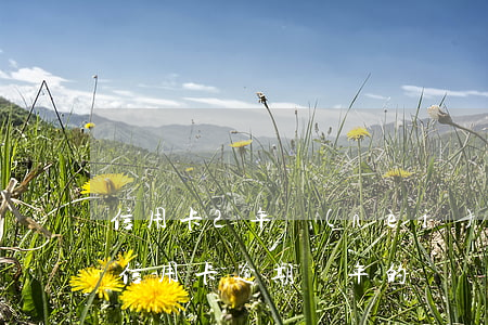信用卡2年內(nèi)沒有逾期-有沒有信用卡逾期兩年的