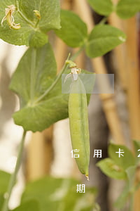 信用卡2年前有22次逾期(第二次信用卡逾期)
