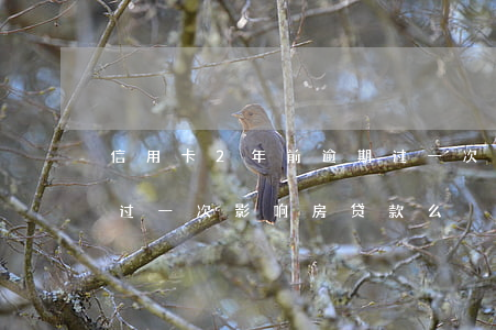 信用卡2年前逾期过一次(信用卡2年前逾期过一次影响房贷款么)