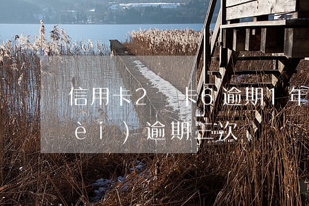 信用卡2張卡6逾期1年(信用卡兩年內(nèi)逾期三次)