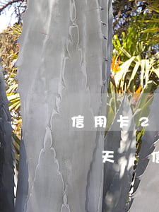 信用卡2期不還會(huì)影響征信(遲了兩天還信用卡會(huì)影響征信嗎)