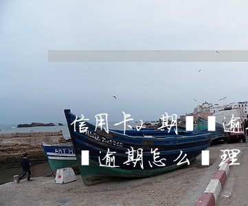 信用卡2期賬單逾期怎么辦-信用卡2期賬單逾期怎么辦理