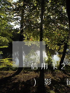 信用卡2次逾期會(huì)不會(huì)影響征信(2次信用卡逾期會(huì)影響房貸嗎)