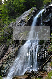 信用卡2次逾期能做擔(dān)保嗎(信用卡2次逾期能做擔(dān)保嗎)