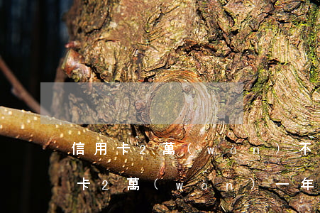 信用卡2萬(wàn)不還判刑多久(欠信用卡2萬(wàn)一年了會(huì)坐牢嗎)