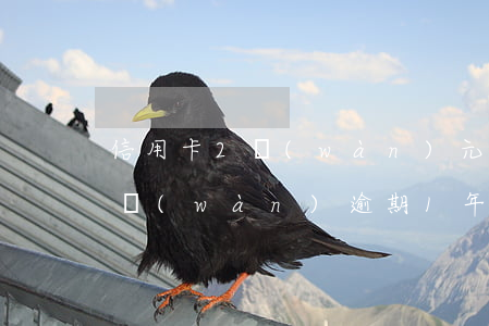信用卡2萬(wàn)元逾期一年(信用卡2萬(wàn)逾期1年)