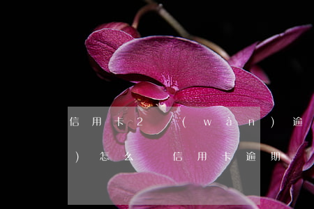 信用卡2萬(wàn)逾期一年會(huì)怎么樣（信用卡逾期兩萬(wàn)沒(méi)還怎么辦）