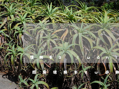 信用卡2萬(wàn)逾期三個(gè)月后果(信用卡2w逾期三個(gè)月會(huì)起訴嗎)
