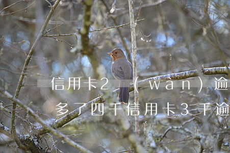 信用卡2萬(wàn)逾期三個(gè)月多了四千(信用卡3千逾期兩年)