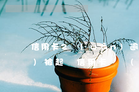 信用卡2萬(wàn)逾期多久會(huì)被起訴（信用卡兩萬(wàn)的逾期法院怎么處理）