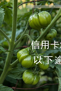 信用卡2萬4逾期還不起怎么辦(信用卡2萬以下逾期沒還什么后果)