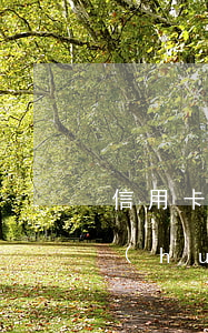 信用卡2萬不還坐牢幾年(信用卡兩萬沒還會(huì)不會(huì)坐牢)