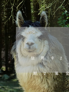 信用卡2萬以下逾期沒還什么后果（信用卡逾期2萬金額算不算大）