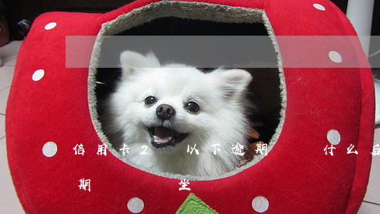 信用卡2萬以下逾期沒還什么后果（信用卡逾期兩萬會坐）