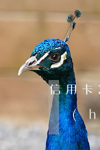 信用卡2萬塊錢不還怎么辦(信用卡2萬不還會(huì)怎么樣)