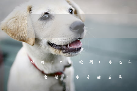 信用卡2萬逾期1年怎么還清-欠信用卡兩萬逾期一年多的后果