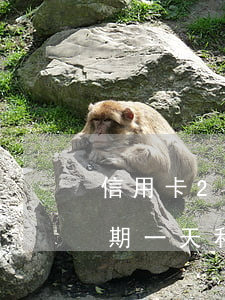 信用卡2萬逾期一天利息多少(信用卡2萬逾期一天利息多少)