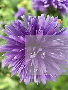 信用卡2萬逾期一年-信用卡2萬逾期一年多了