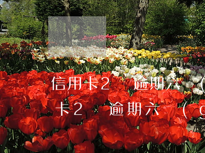 信用卡2萬逾期六個(gè)月翻2倍(信用卡2萬逾期六個(gè)月翻2倍怎么算)