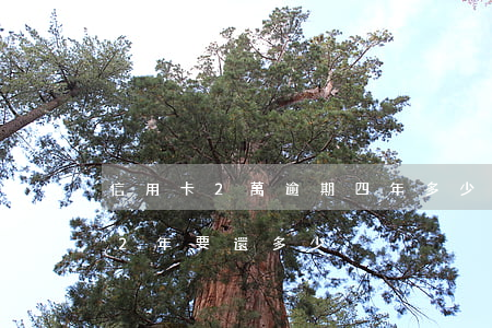 信用卡2萬逾期四年多少錢(信用卡2萬逾期2年要還多少)