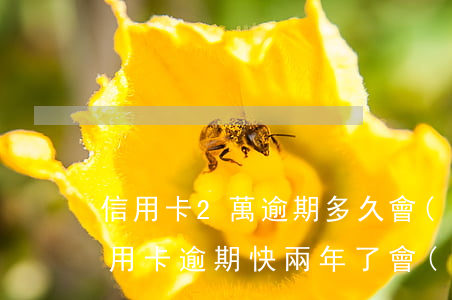 信用卡2萬逾期多久會(huì)被起訴（信用卡逾期快兩年了會(huì)起訴嗎）