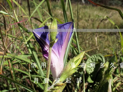信用卡2萬逾期多久會被起訴（信用卡逾期2月會被起訴）