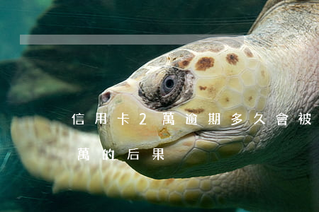 信用卡2萬逾期多久會被起訴（信用卡逾期2萬的后果）