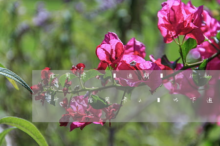 信用卡2萬逾期會(huì)發(fā)生什么(信用卡2萬以下逾期沒還什么后果)