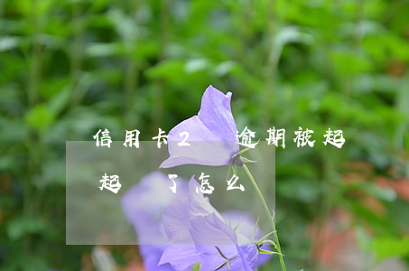 信用卡2萬逾期被起訴敗訴(欠信用卡2萬被起訴了怎么辦)