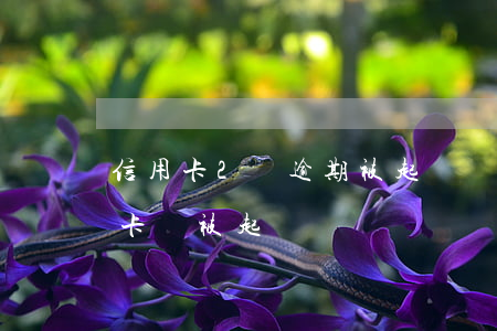 信用卡2萬逾期被起訴會坐牢嗎 欠2萬信用卡會被起訴嗎