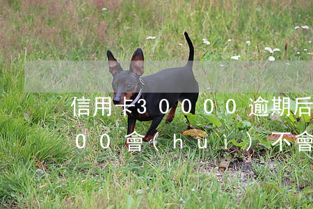 信用卡30000逾期后果（信用卡逾期3800會(huì)不會(huì)坐牢）