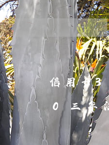 信用卡3000不还有事吗(欠信用卡3000三年没还有什么后果)
