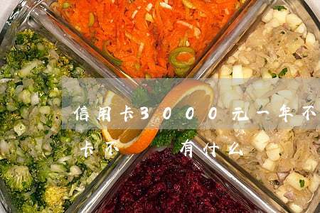 信用卡3000元一年不還(3000的信用卡不還會有什么問題)