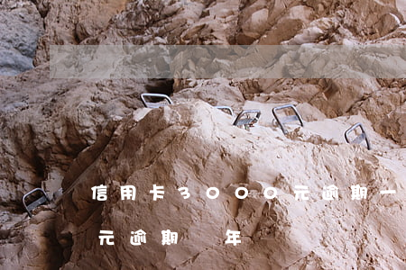 信用卡3000元逾期一年(信用卡3000元逾期兩年)