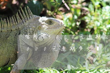信用卡3000元逾期怎么辦理的(信用卡3000元逾期多久會(huì)被起訴)