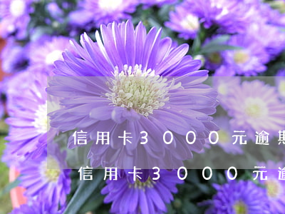 信用卡3000元逾期最新規(guī)定(信用卡3000元逾期怎么辦)