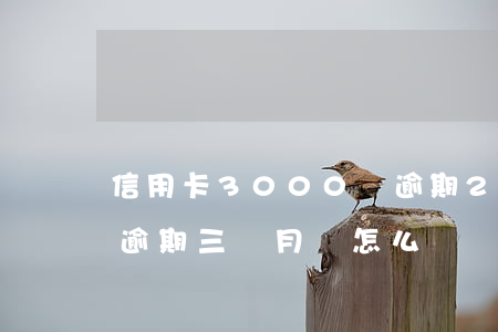 信用卡3000塊逾期2個月-信用卡2萬逾期三個月會怎么樣