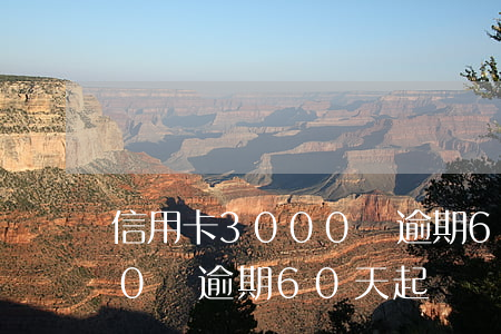 信用卡3000塊逾期60天(信用卡3000塊逾期60天起訴)