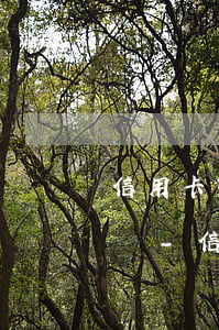 信用卡3000塊錢逾期會(huì)起訴嗎-信用卡3000塊錢逾期會(huì)起訴嗎知乎
