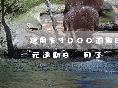 信用卡3000逾期8個月(信用卡4000元逾期8個月了)