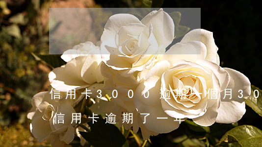 信用卡3000逾期一個月(3000額度的信用卡逾期了一年)