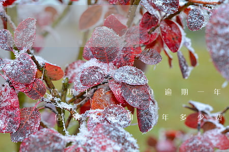 信用卡3000逾期一年要还多少（三万农行信用卡逾期一年多少费用）