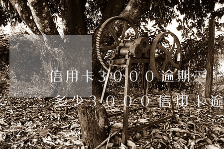 信用卡3000逾期三個月利息和滯納金是多少（3000信用卡逾期利息怎么算）